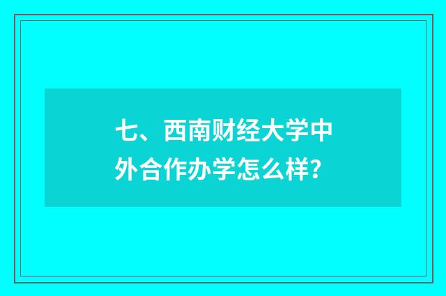 七、西南财经大学中外合作办学怎么样？