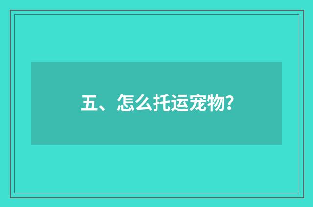 五、怎么托运宠物？