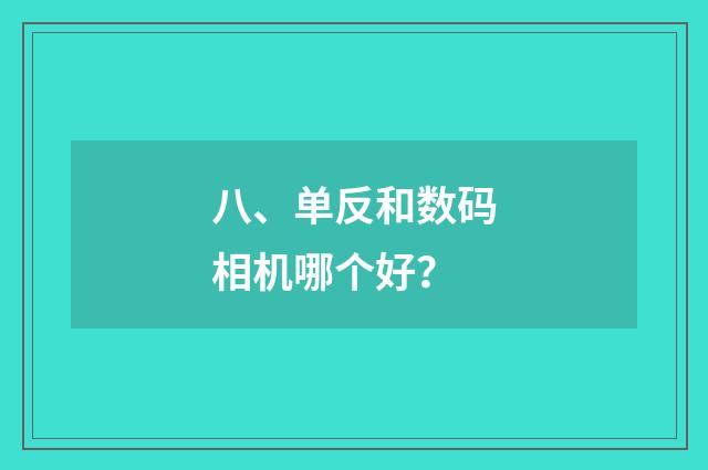 八、单反和数码相机哪个好？