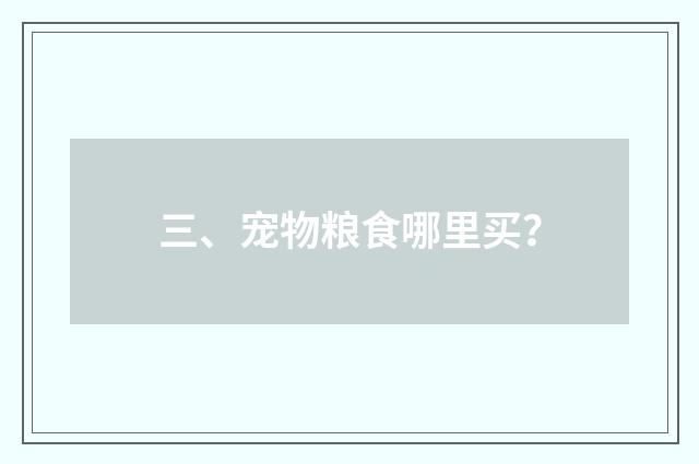 三、宠物粮食哪里买？