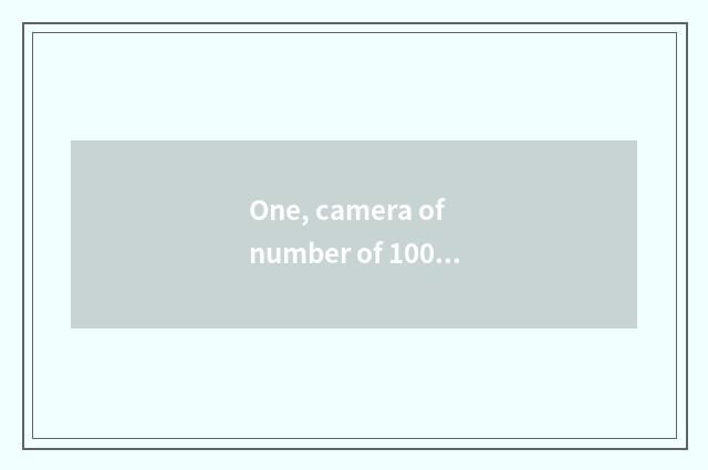 One, camera of number of 100 times optical scorch?