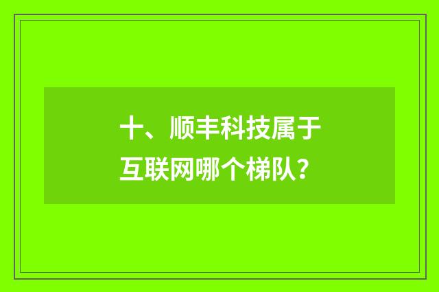 十、顺丰科技属于互联网哪个梯队？