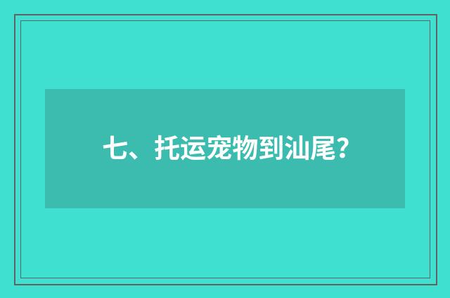 七、托运宠物到汕尾?