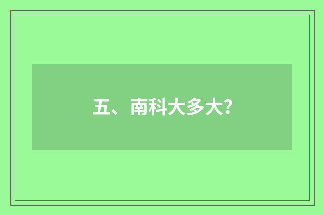 五、南科大多大？
