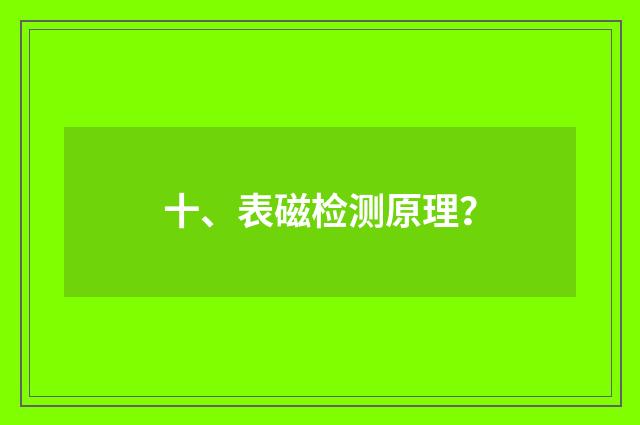 十、表磁检测原理？