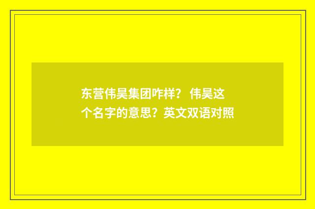 东营伟昊集团咋样？ 伟昊这个名字的意思？英文双语对照