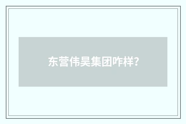 东营伟昊集团咋样？