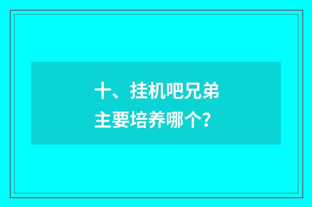 十、挂机吧兄弟主要培养哪个？