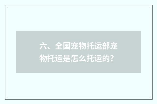 六、全国宠物托运部宠物托运是怎么托运的？