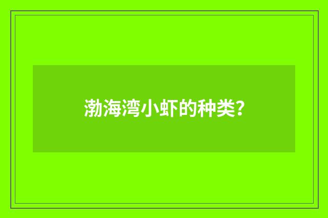 渤海湾小虾的种类？