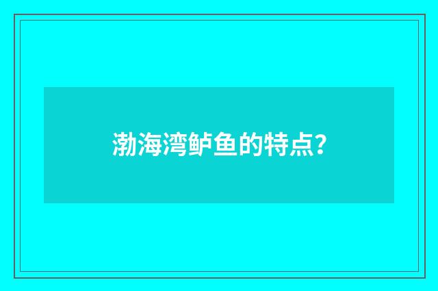 渤海湾鲈鱼的特点？