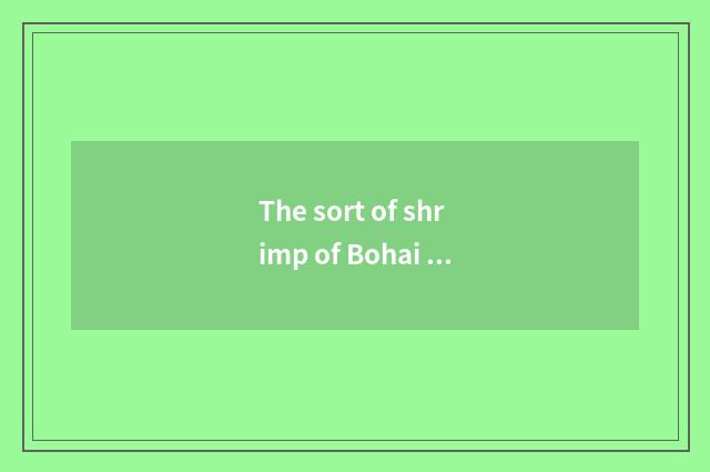 The sort of shrimp of Bohai Sea bay?