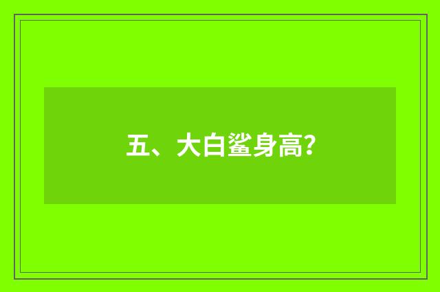 五、大白鲨身高?