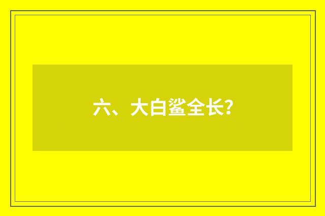 六、大白鲨全长？