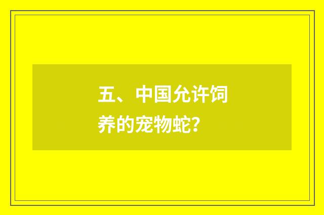 五、中国允许饲养的宠物蛇？