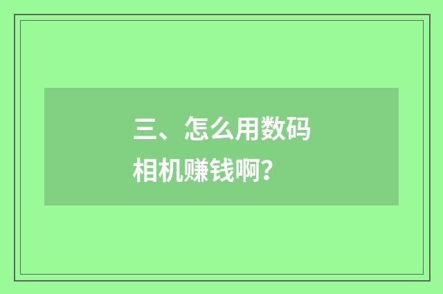 三、怎么用数码相机赚钱啊？