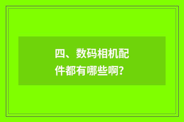 四、数码相机配件都有哪些啊?