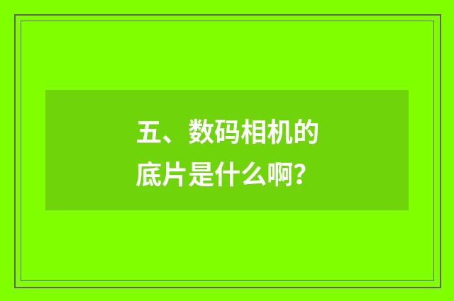 五、数码相机的底片是什么啊？