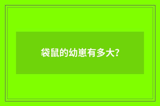 袋鼠的幼崽有多大？