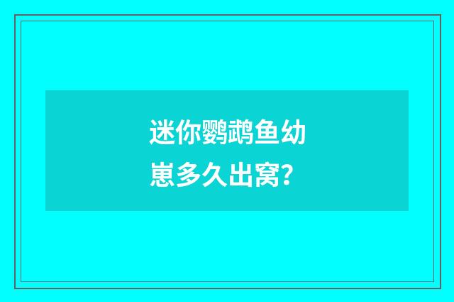 迷你鹦鹉鱼幼崽多久出窝？