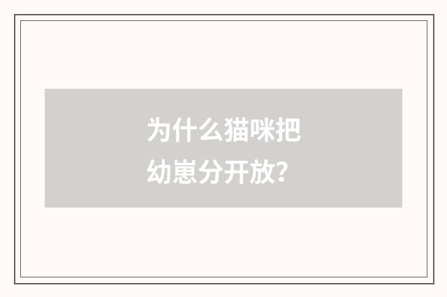 为什么猫咪把幼崽分开放？