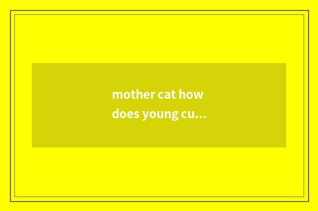 mother cat how does young cub send it to meet?