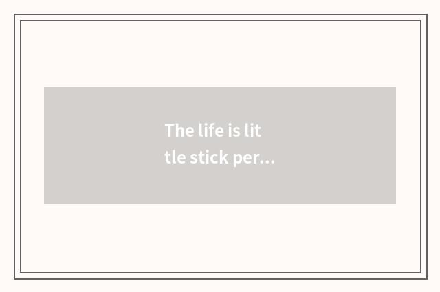 The life is little stick person: The small doohickey in the life, be worth the l