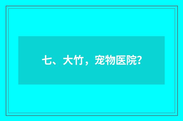 七、大竹，宠物医院？