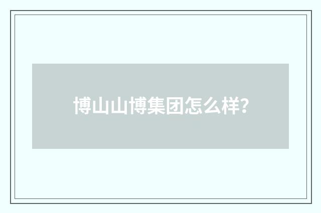 博山山博集团怎么样？