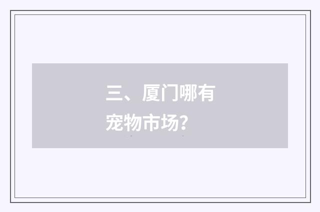 三、厦门哪有宠物市场？