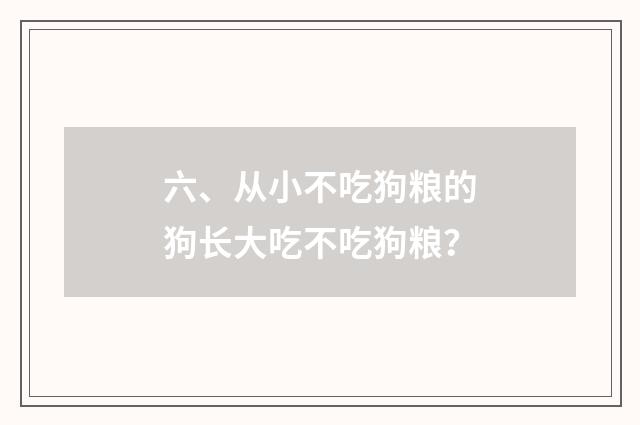 六、从小不吃狗粮的狗长大吃不吃狗粮？