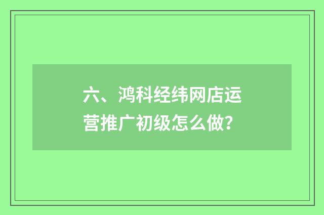 六、鸿科经纬网店运营推广初级怎么做?