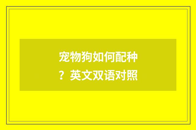 宠物狗如何配种？英文双语对照