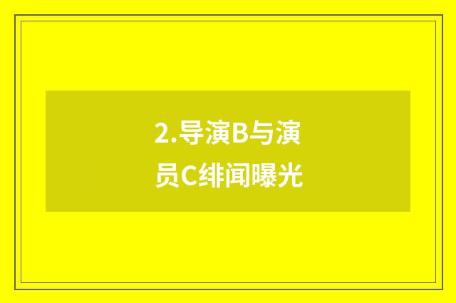 2.导演B与演员C绯闻曝光