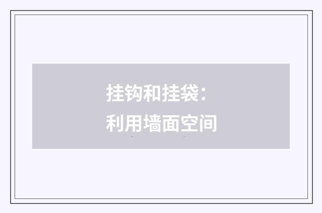 挂钩和挂袋：利用墙面空间