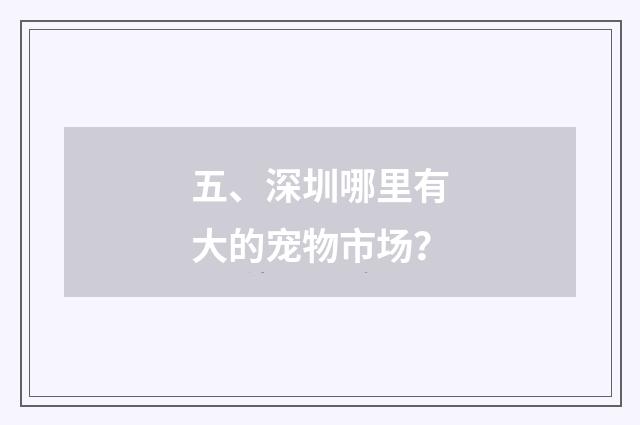 五、深圳哪里有大的宠物市场?