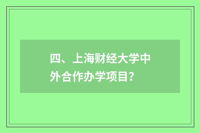 四、上海财经大学中外合作办学项目？