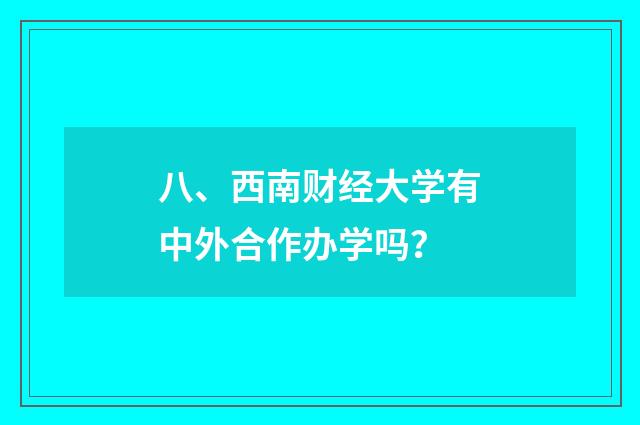 八、西南财经大学有中外合作办学吗？