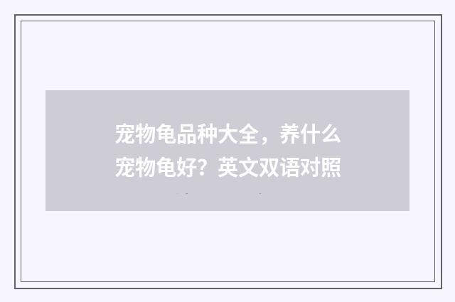 宠物龟品种大全，养什么宠物龟好？英文双语对照