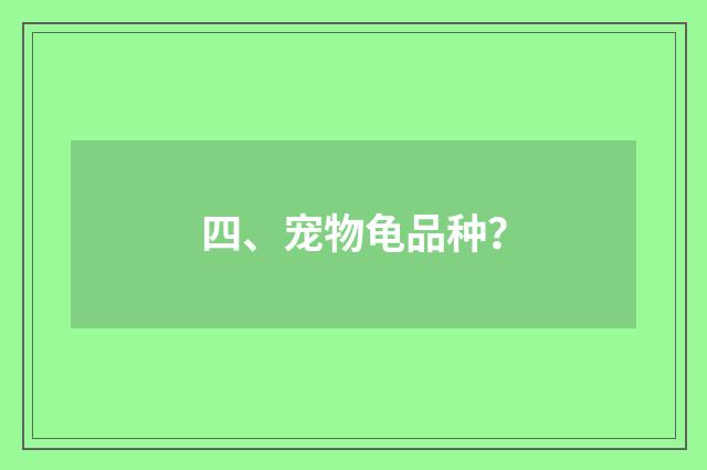 四、宠物龟品种？