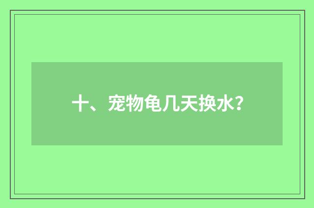 十、宠物龟几天换水？
