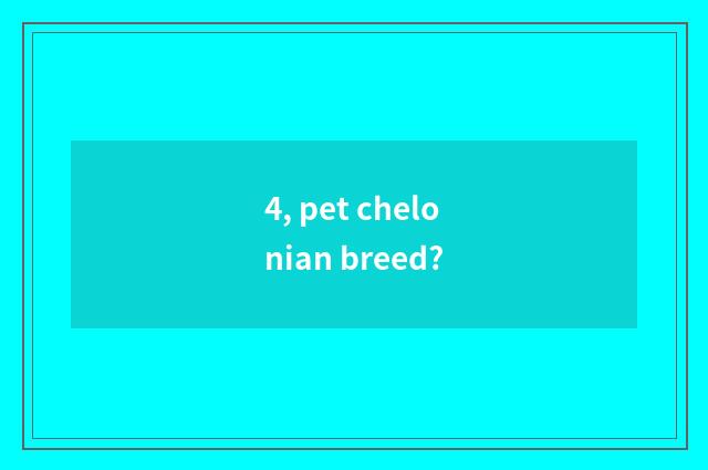 4, pet chelonian breed?
