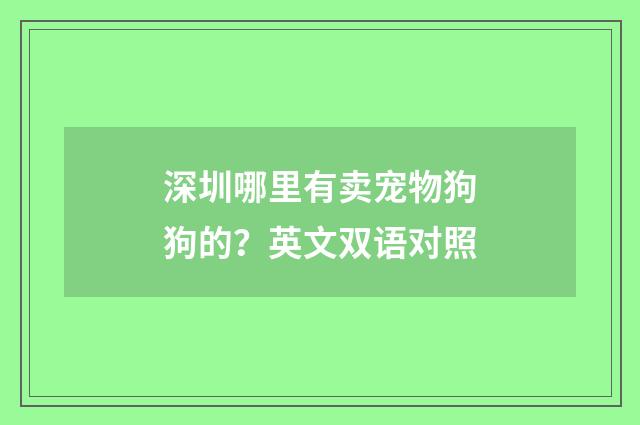 深圳哪里有卖宠物狗狗的？英文双语对照