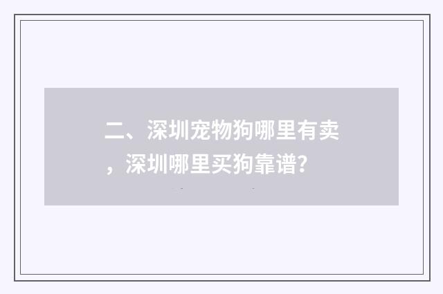 二、深圳宠物狗哪里有卖，深圳哪里买狗靠谱？