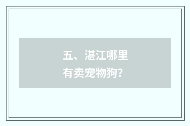 五、湛江哪里有卖宠物狗？