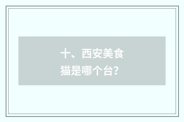 十、西安美食猫是哪个台？
