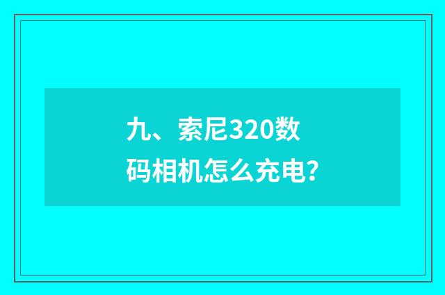 九、索尼320数码相机怎么充电？
