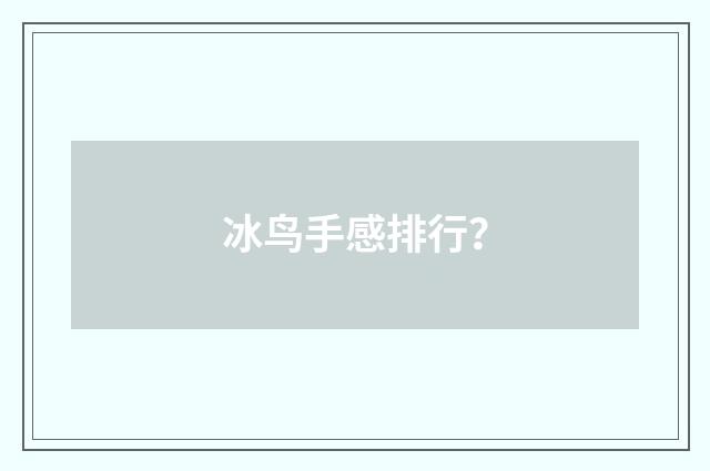 冰鸟手感排行？