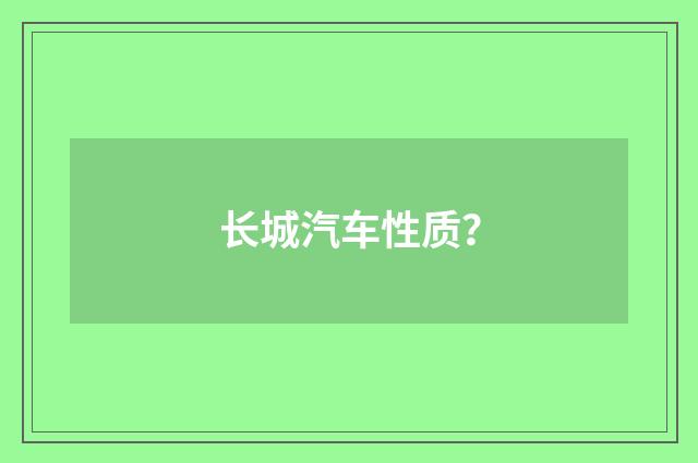 长城汽车性质？