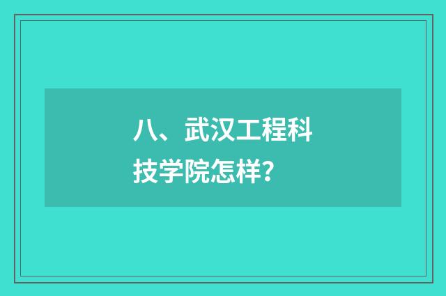 八、武汉工程科技学院怎样？